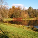 Park Pałacowy w Białowieży